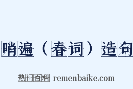 哨遍（春词）造句是什么意思的图片